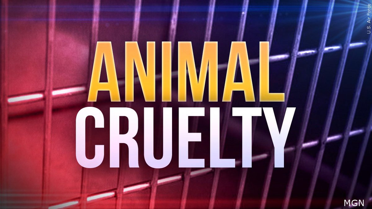 Animal cruelty graphic.